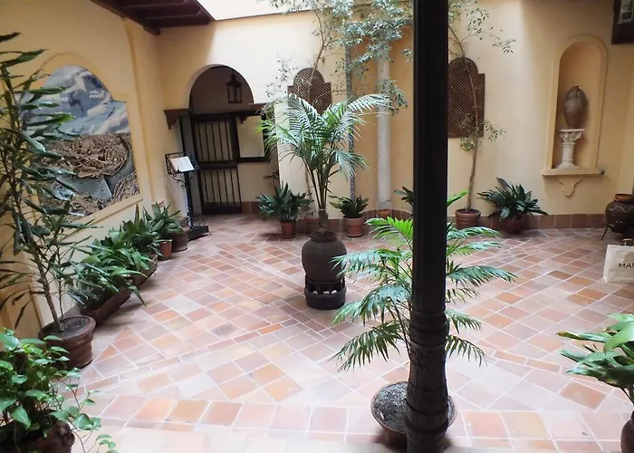 Appartement Atico Termas